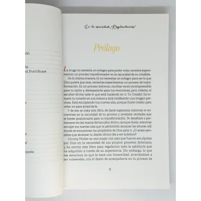 En la Oscuridad, ¡Resplandecerás! Devocional íntimo, cercano, en el que la autora nos lleva con sutileza y a la vez autoridad En la Oscuridad, ¡Resplandecerás! Devocional íntimo, cercano, en el que la autora nos lleva con sutileza y a la vez autoridad