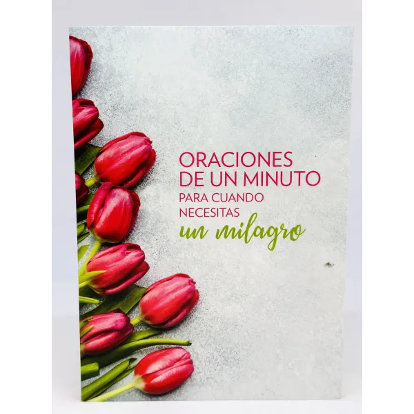 Oraciones De Un Minuto Para Cuando Necesitas Un Milagro