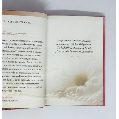 Su princesa, la novia [Bolsilibro] Cartas e amor de tu principe