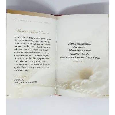 Su princesa, la novia [Bolsilibro] Cartas e amor de tu principe