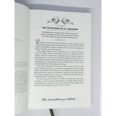 Un Año En Su Presencia [Devocional] 365 Devocionales para Animar tu Vida