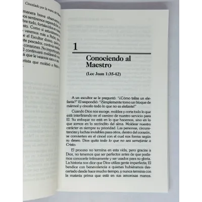 Cincelado por la mano del Maestro [Libro] Aprenda de Pedro cómo Dios moldea nuestro carácter a Su semejanza