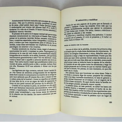 Cómo aconsejar en situaciones de crisis [Libro]