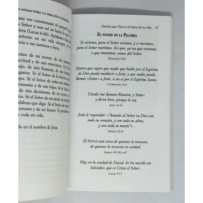 Diez minutos parea la oración poderosa [Bolsilibro] Una manera práctica de usar tu tiempo con sabiduría