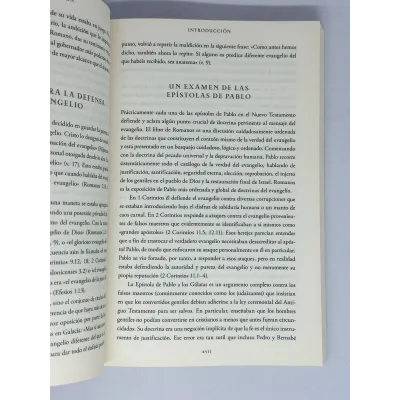 Evangelio Según Pablo [Libro] Abrazando las buenas nuevas en el corazón de las enseñanzas de Pablo