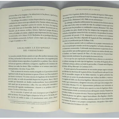 Evangelio Según Pablo [Libro] Abrazando las buenas nuevas en el corazón de las enseñanzas de Pablo