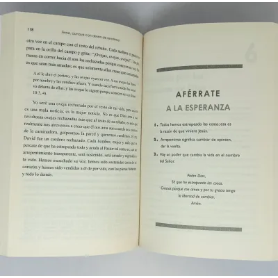 Firme Aunque Con Deseos De Rendirme Firme Aunque Con Deseos De Rendirme