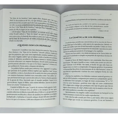 La Invasión de los Ángeles Caídos [Libro]