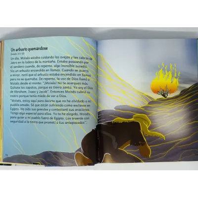 Biblia Para Jovencitas Valientes [Libro] Historias Bíblicas