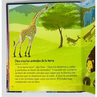 Biblia Para Jovencitas Valientes [Libro] Historias Bíblicas