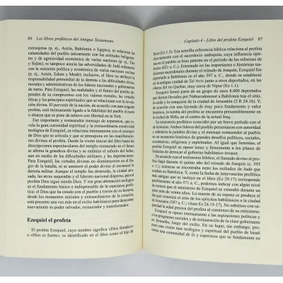 Libros Proféticos Antiguo Testamento [Libro] Interpretación eficaz hoy