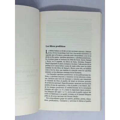 Libros Proféticos Antiguo Testamento [Libro] Interpretación eficaz hoy