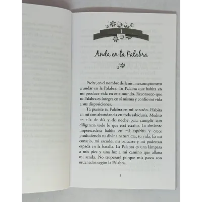 Oraciones con poder para mamás [Bolsilibro]