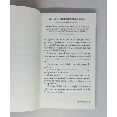 Orar Los Nombres De Dios [Bolsilibro] 200 Oraciones Devocionales
