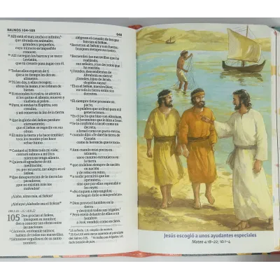 Biblia NVI Luz En Mi Camino Cohetes Multicolor Simil Piel [Biblia]