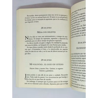 Dios llama [Libro]