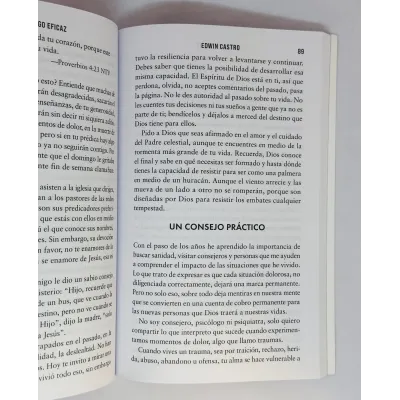 Liderazgo Eficaz Inspírate en la vida de José para enfrentar los desafíos actuales Liderazgo Eficaz Inspírate en la vida de José para enfrentar los desafíos actuales