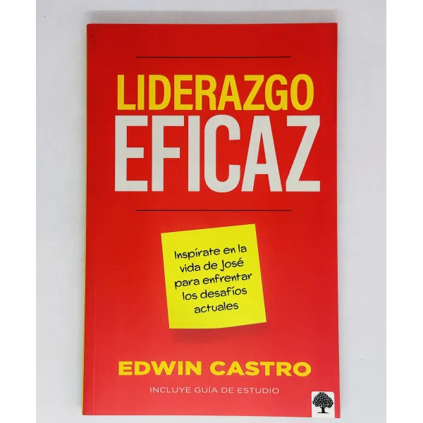 Liderazgo Eficaz Inspírate en la vida de José para enfrentar los desafíos actuales