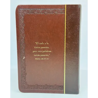 Promesas De La Biblia Para La Vida Un manual indispensable para cada una de sus necesidades Promesas De La Biblia Para La Vida Un manual indispensable para cada una de sus necesidades