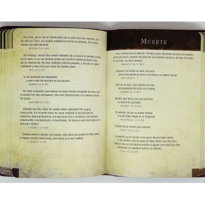 Promesas De La Biblia Para La Vida Un manual indispensable para cada una de sus necesidades Promesas De La Biblia Para La Vida Un manual indispensable para cada una de sus necesidades