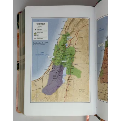 Biblia RVR60/Centrada En Cristo/Floral/Simil Piel/Con Indice Biblia RVR60/Centrada En Cristo/Floral/Simil Piel/Con Indice
