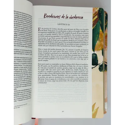Biblia RVR60/Centrada En Cristo/Floral/Simil Piel/Con Indice Biblia RVR60/Centrada En Cristo/Floral/Simil Piel/Con Indice