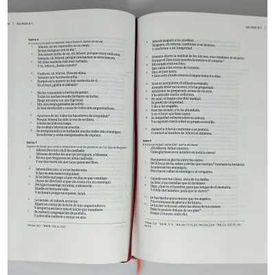 Biblia RVR60/Centrada En Cristo/Floral/Simil Piel/Con Indice Biblia RVR60/Centrada En Cristo/Floral/Simil Piel/Con Indice