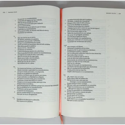 Biblia RVR60/Centrada En Cristo/Floral/Simil Piel/Con Indice Biblia RVR60/Centrada En Cristo/Floral/Simil Piel/Con Indice