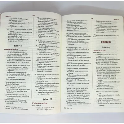 Biblia Devocional Los Lenguajes Del Amor [Biblia] RVR 1960 Blanco