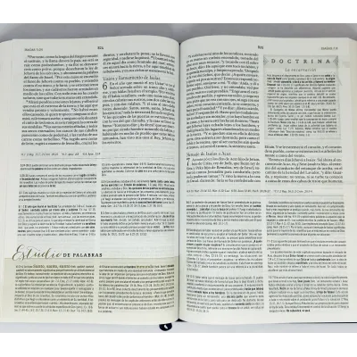 Biblia RVR60 de Estudio para Mujeres [Biblia] Palabra de Dios para la Vida