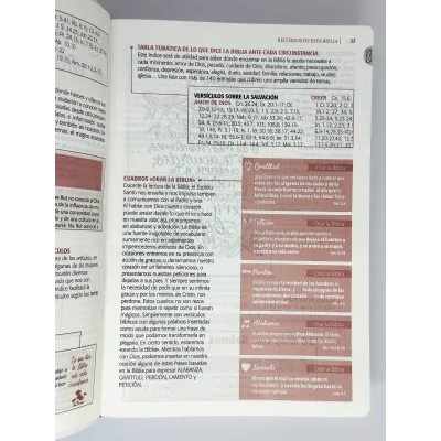 Biblia RVR086cLGEETI/ Estudio Ser Mujer Biblia RVR086cLGEETI/ Estudio Ser Mujer