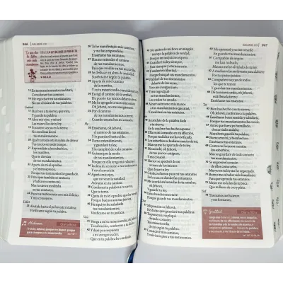 Biblia RVR086cLGEETI/ Estudio Ser Mujer Biblia RVR086cLGEETI/ Estudio Ser Mujer