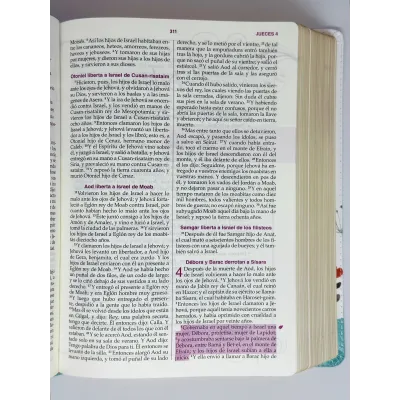 Biblias RBR60/Mujer Conforme Al Corazon De Dios/Edicion Jardin Reina Valera 1960 Biblias RBR60/Mujer Conforme Al Corazon De Dios/Edicion Jardin Reina Valera 1960