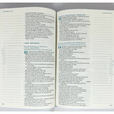 Biblia Devocional Mujer Verdadera NBLA Duotono Aqua [Biblia de Estudio] Nueva Biblia de las Américas