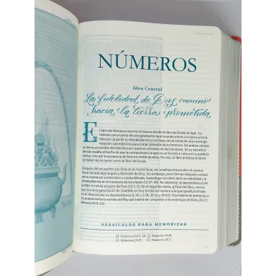 RVR 1960 Biblia Devocional Mujer Verdadera [Biblia] Reina Valera 1960/Dos Tonos