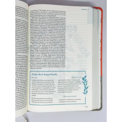 RVR 1960 Biblia Devocional Mujer Verdadera [Biblia] Reina Valera 1960/Dos Tonos