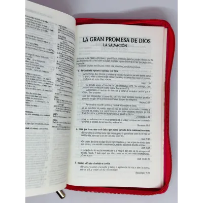 santa biblia letra grande edicion de promesas santa biblia letra grande edicion de promesas