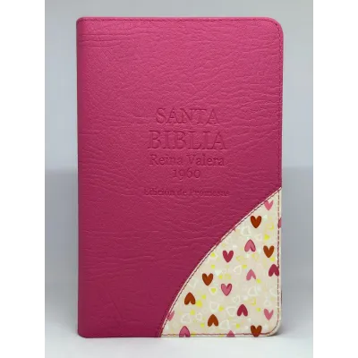 santa biblia letra grande edicion de promesas santa biblia letra grande edicion de promesas