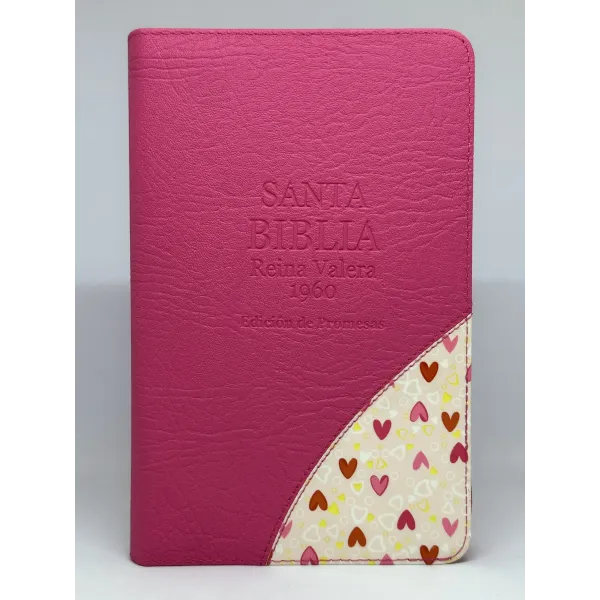 santa biblia letra grande edicion de promesas
