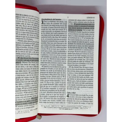 santa biblia letra grande edicion de promesas santa biblia letra grande edicion de promesas