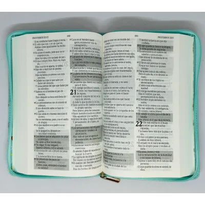 santa biblia letra grande edicion de promesas