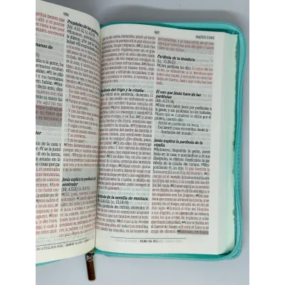 santa biblia letra grande edicion de promesas
