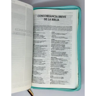 santa biblia letra grande edicion de promesas