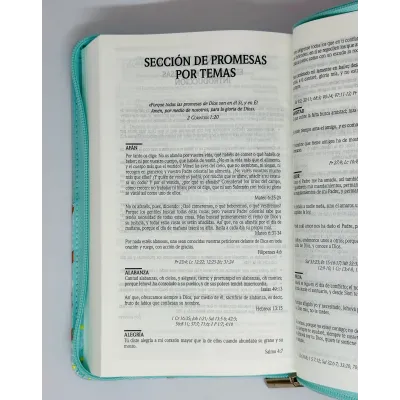 santa biblia letra grande edicion de promesas