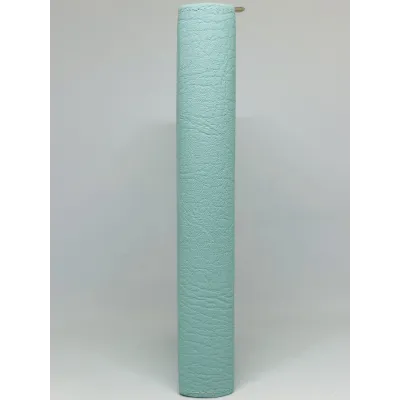 santa biblia letra grande edicion de promesas
