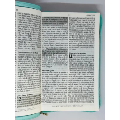 santa biblia letra grande edicion de promesas