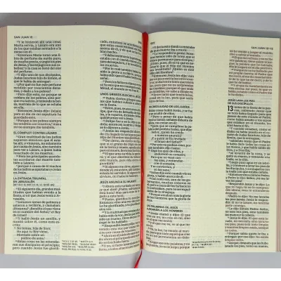 Biblia/RVR1960/Edicion Artistica/Tapa Dura/Floral/Canto Con Diseño/PJr Biblia/RVR1960/Edicion Artistica/Tapa Dura/Floral/Canto Con Diseño/PJr