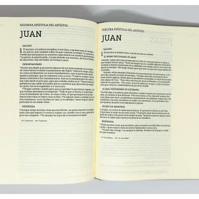 Biblia NBLA Edicion Artistica/Tapa Dura/Tela/Canto Con Diseño/ Biblia NBLA Edicion Artistica/Tapa Dura/Tela/Canto Con Diseño/