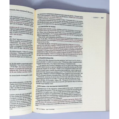 Biblia NBLA Edicion Artistica/Tapa Dura/Tela/Canto Con Diseño/ Biblia NBLA Edicion Artistica/Tapa Dura/Tela/Canto Con Diseño/