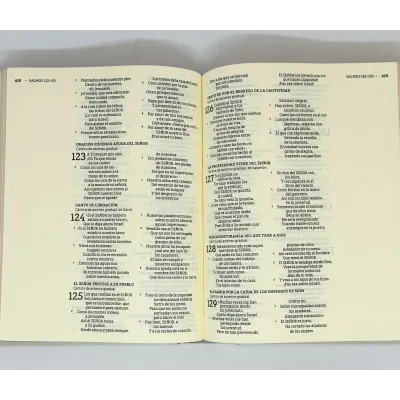 Biblia NBLA Edicion Artistica/Tapa Dura/Tela/Canto Con Diseño/ Biblia NBLA Edicion Artistica/Tapa Dura/Tela/Canto Con Diseño/